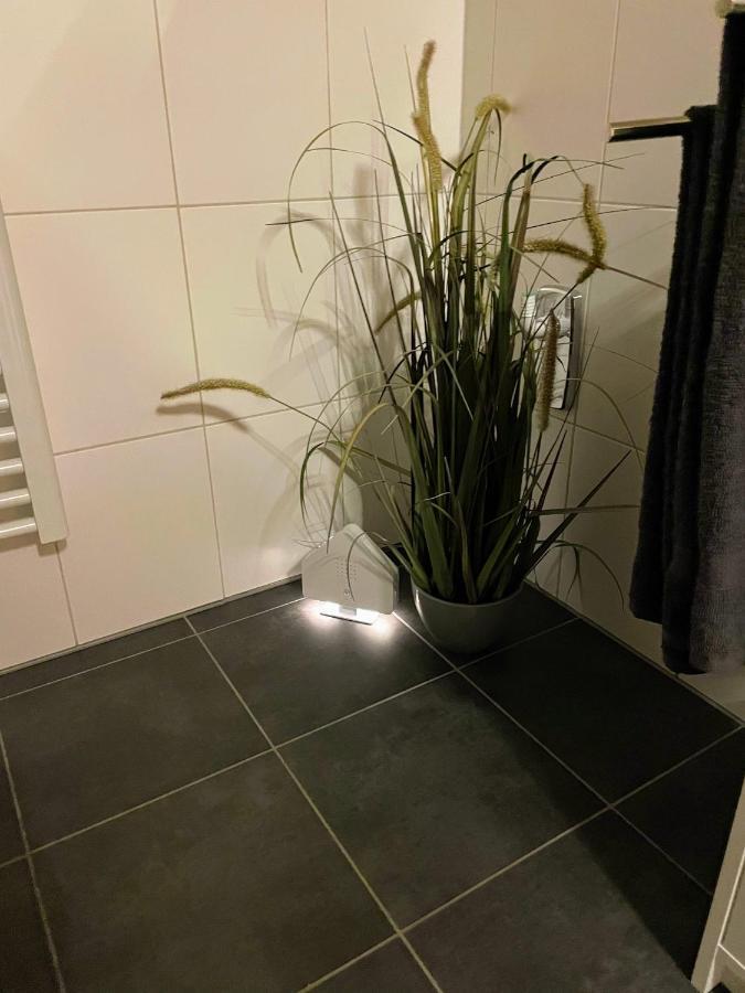Apartment Zur Wiege Anhalts Ballenstedt Luaran gambar